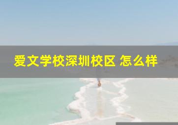 爱文学校深圳校区 怎么样